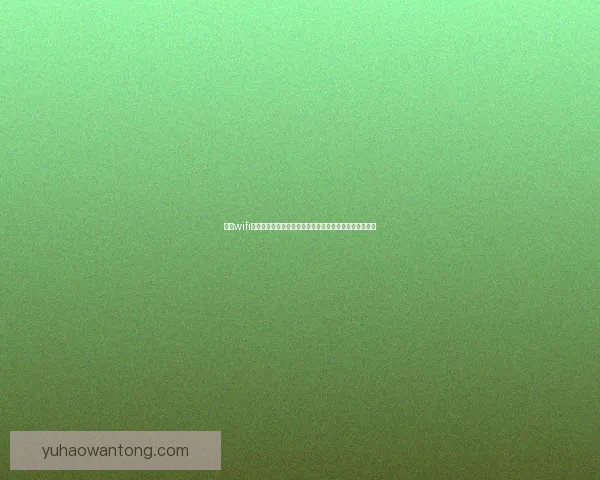 猎豹wifi官方下载最新版让你轻松连接网络提升上网速度和稳定性